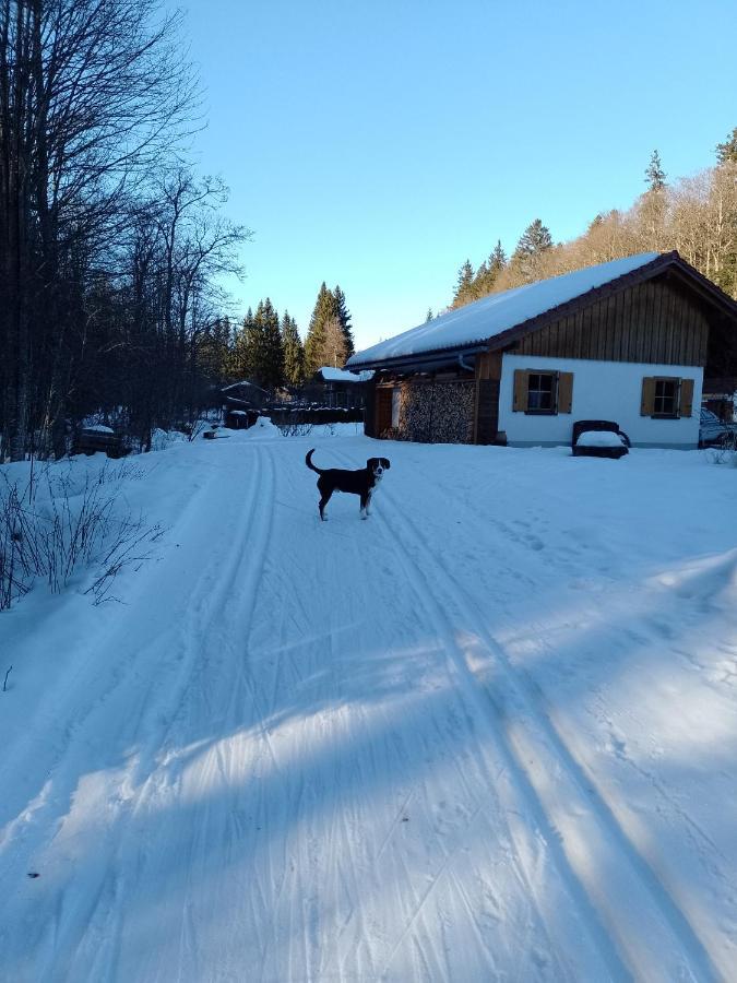 Huettenzauber Ferienwohnung Mitten Im Nationalpark Lindberg Eksteriør bilde