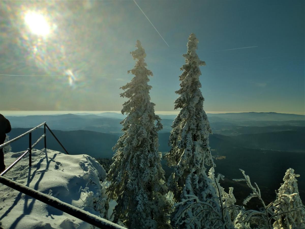 Huettenzauber Ferienwohnung Mitten Im Nationalpark Lindberg Eksteriør bilde