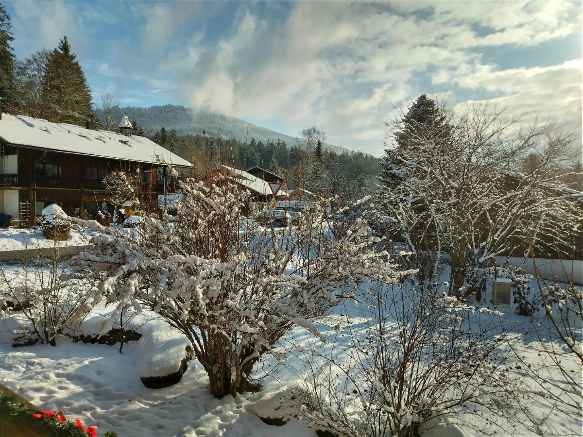 Huettenzauber Ferienwohnung Mitten Im Nationalpark Lindberg Eksteriør bilde